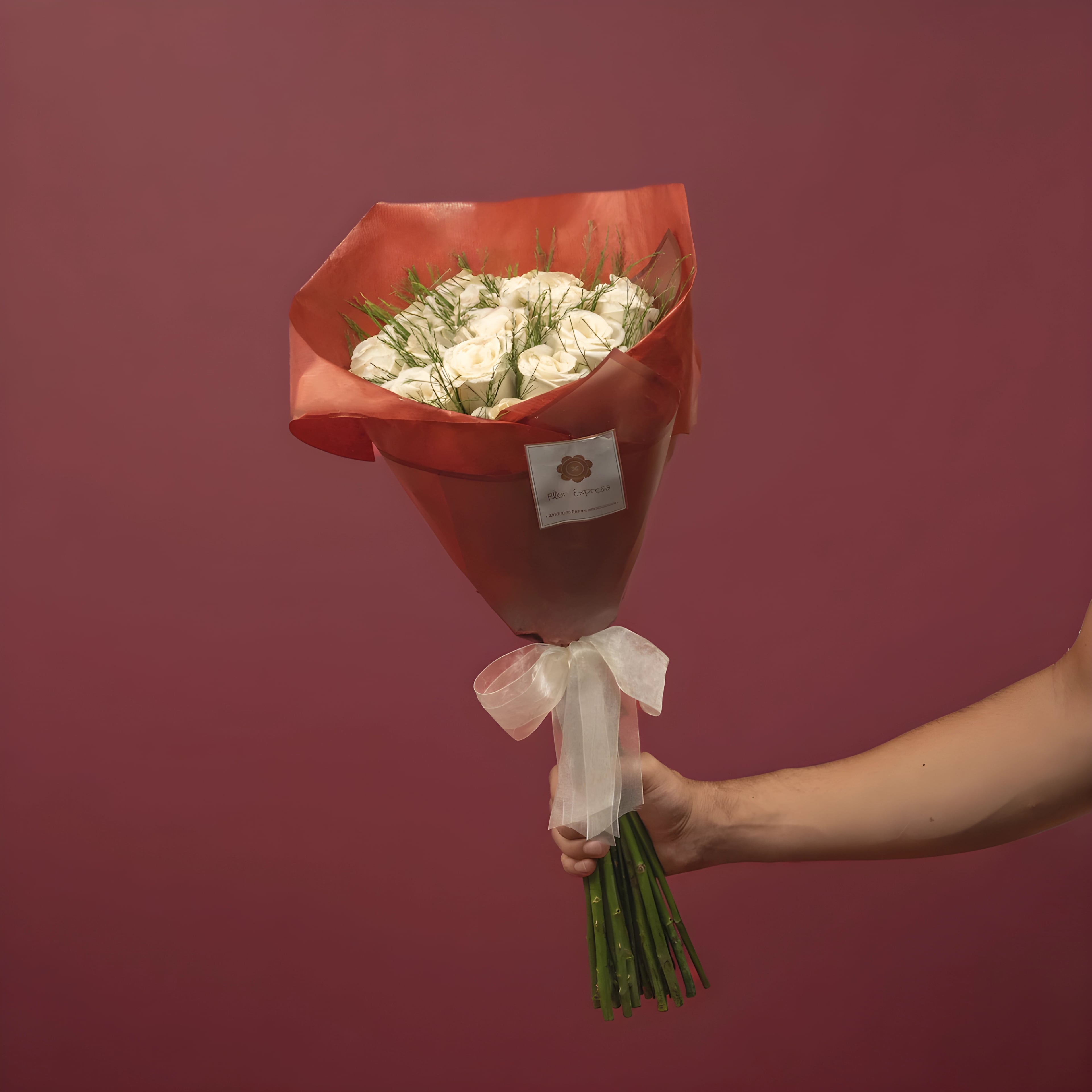 Rosas Blancas