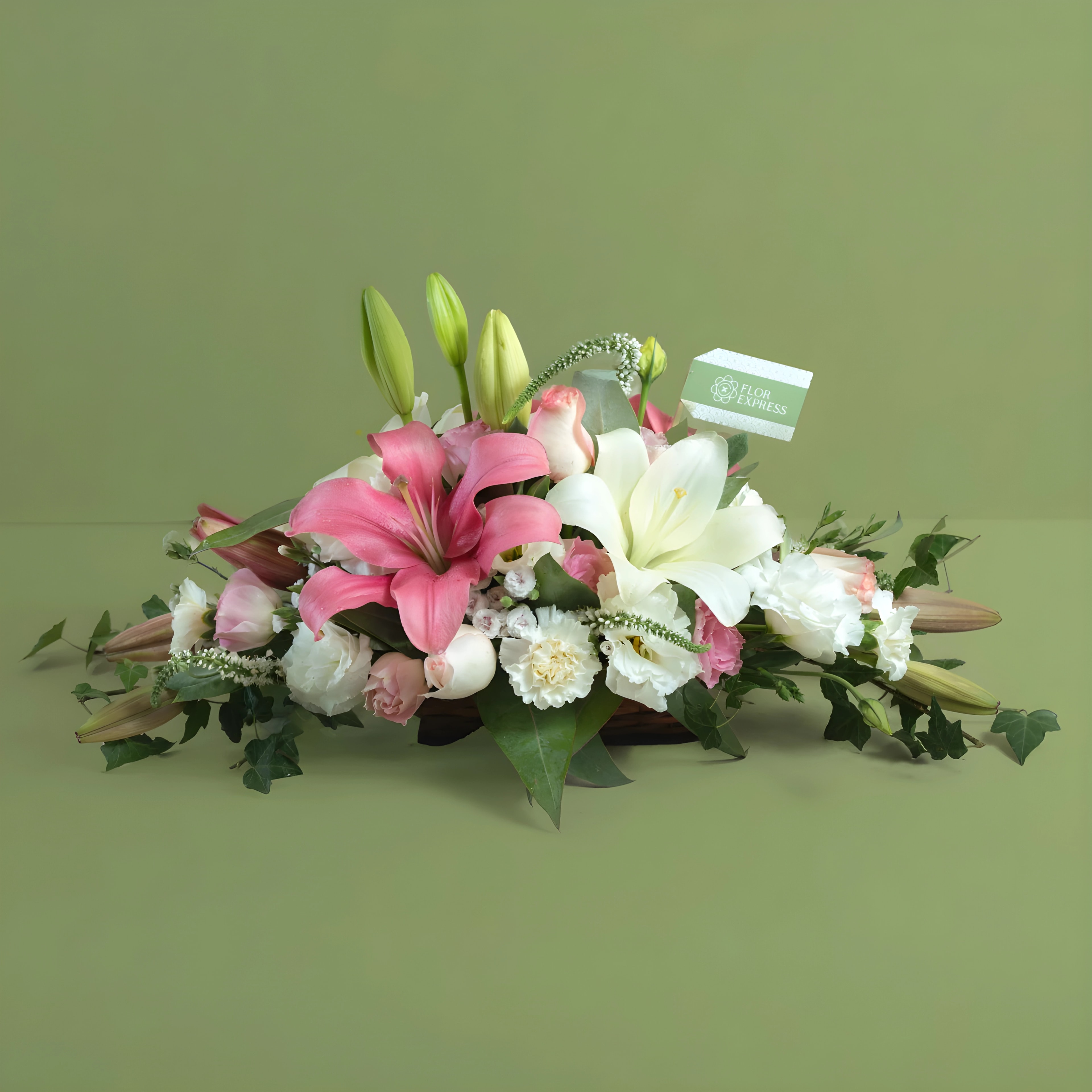 Lilium Rosado