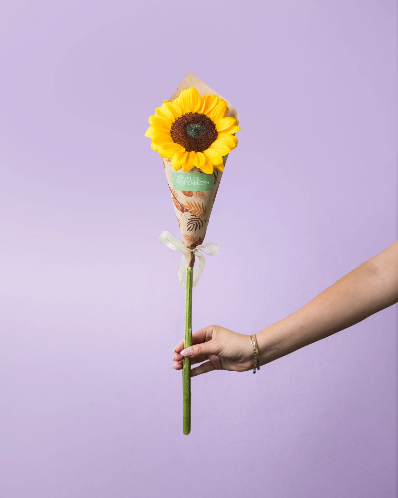 Girasol