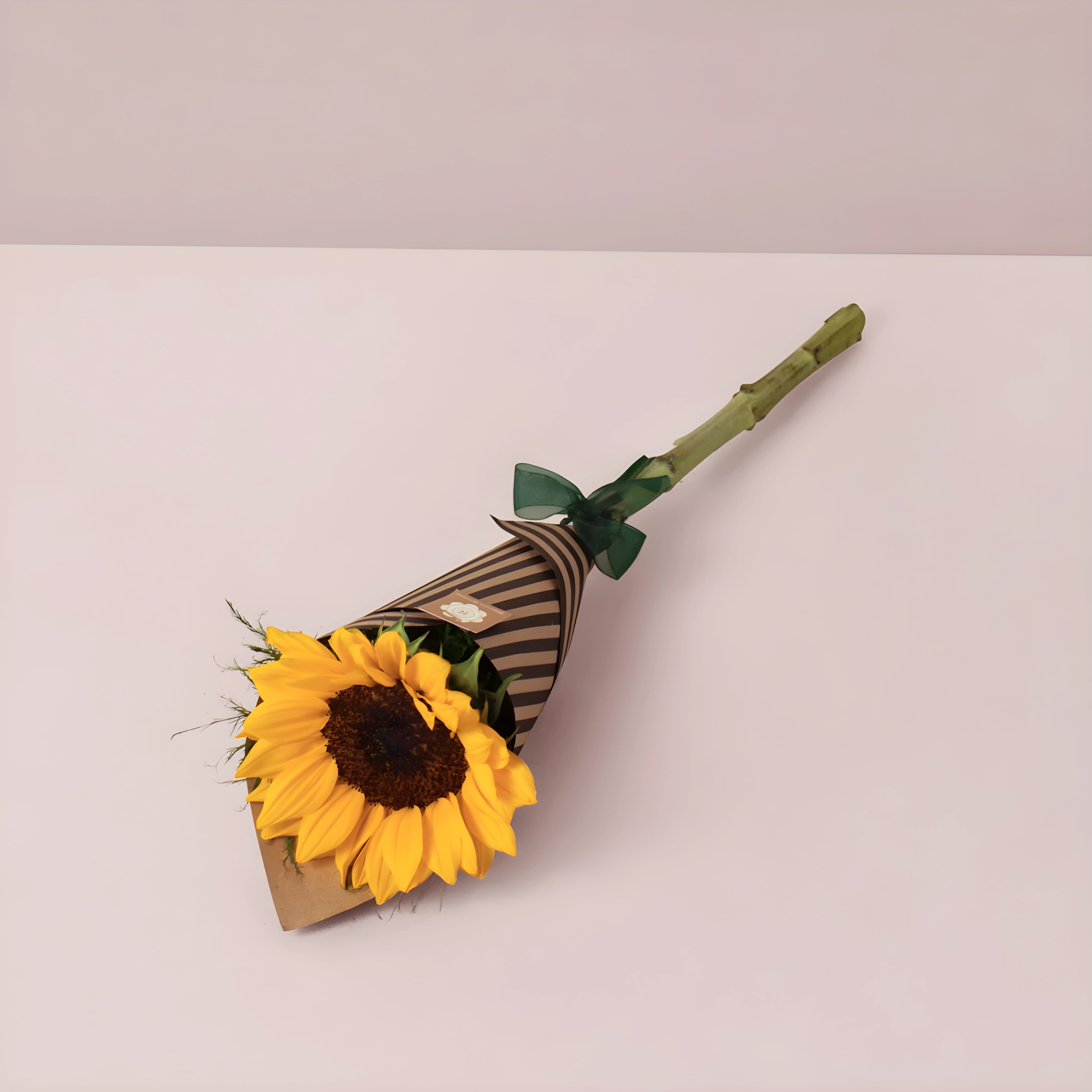 Girasol