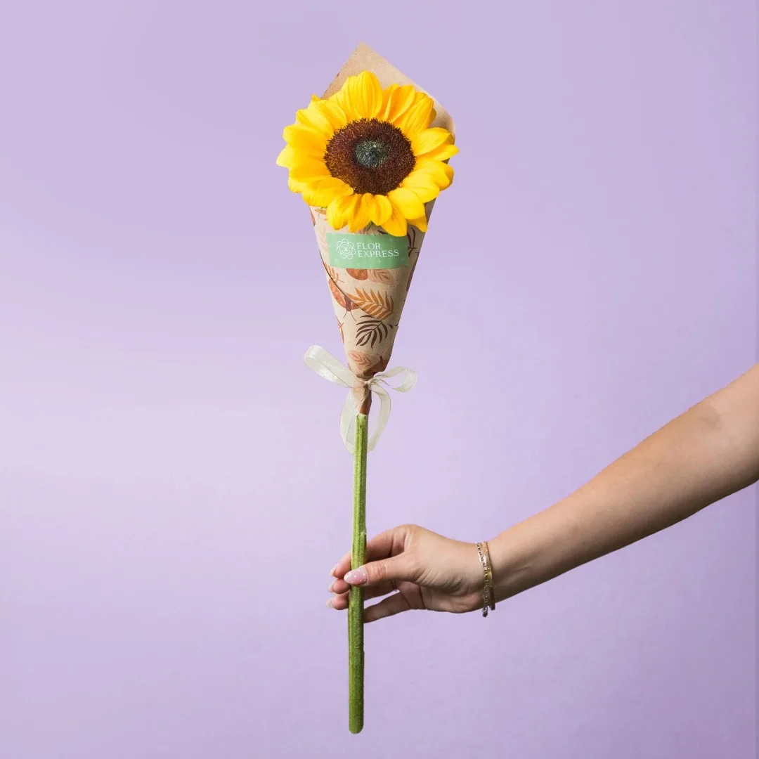 Girasol Kraft
