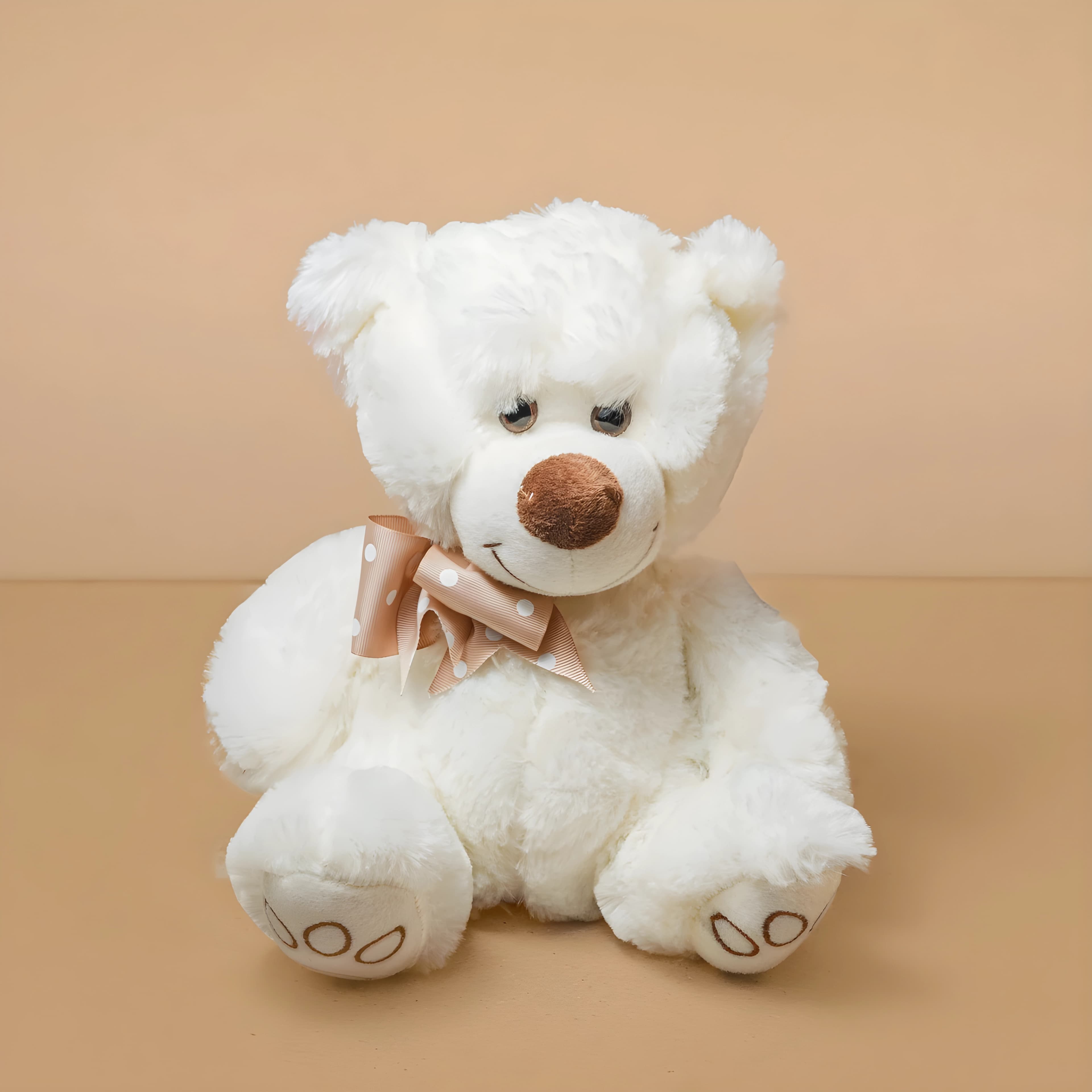 Oso de Peluche