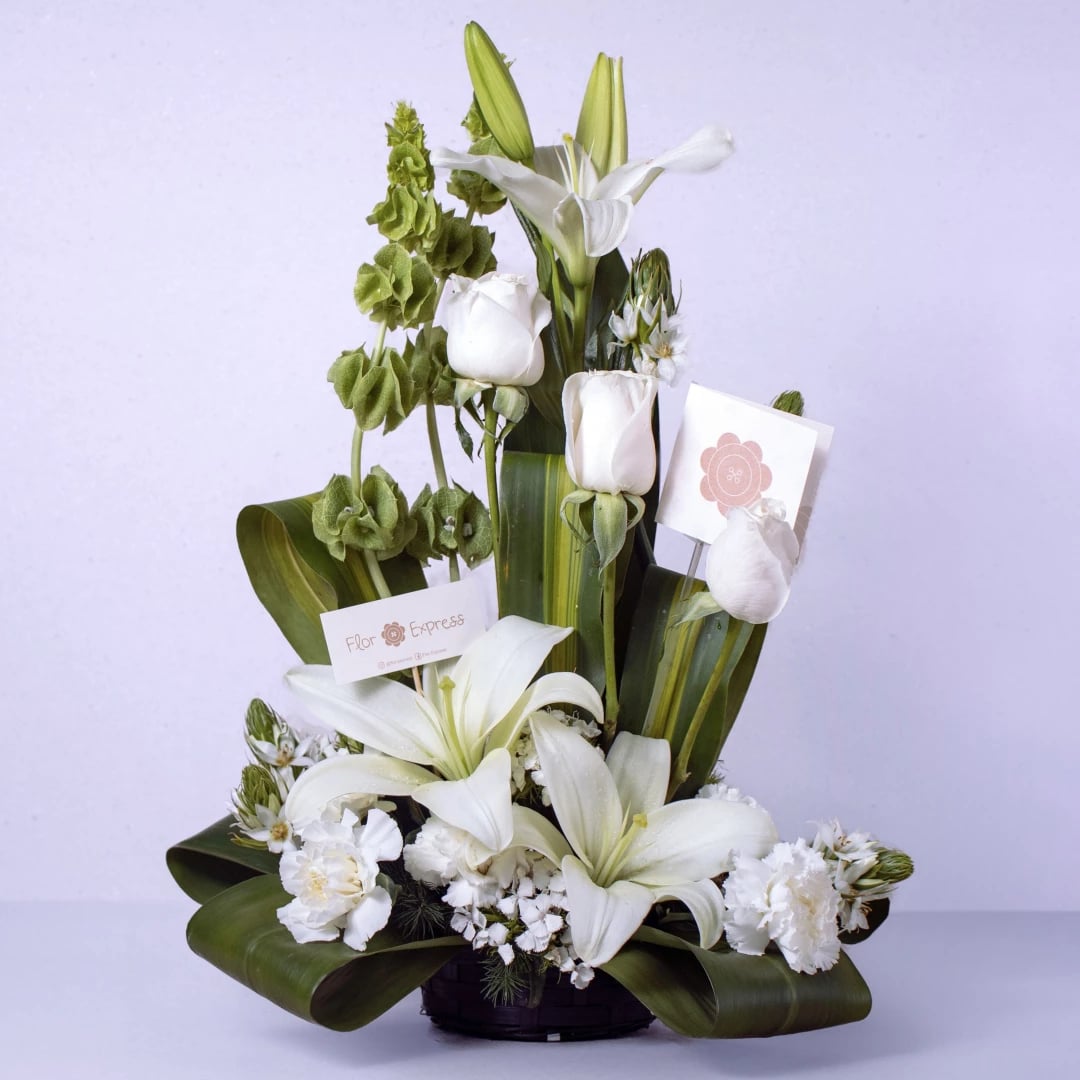 Condolencia Clásico